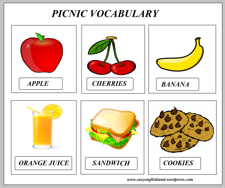 Picnic vocabulary